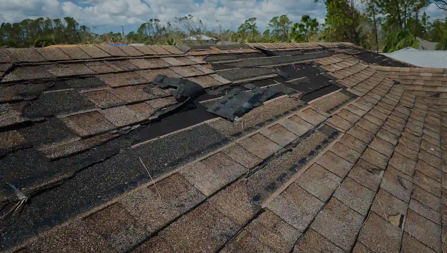 Roof Leak Repair