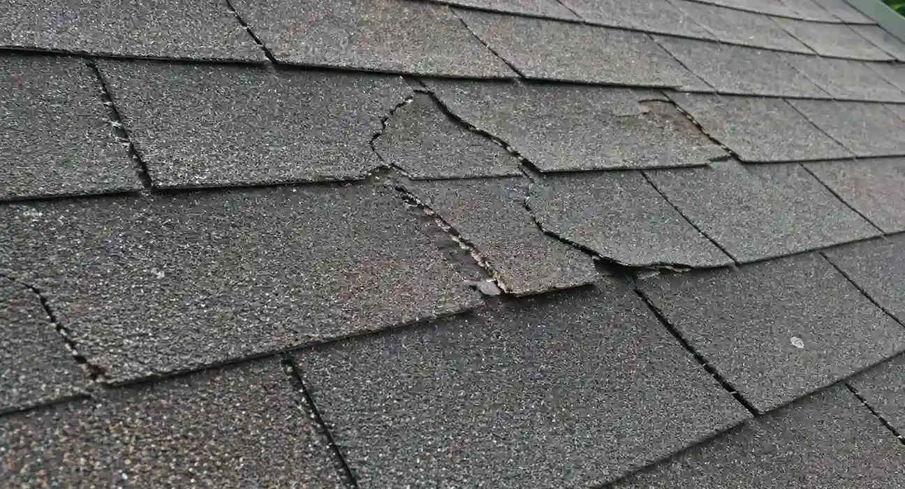 roof maintenance