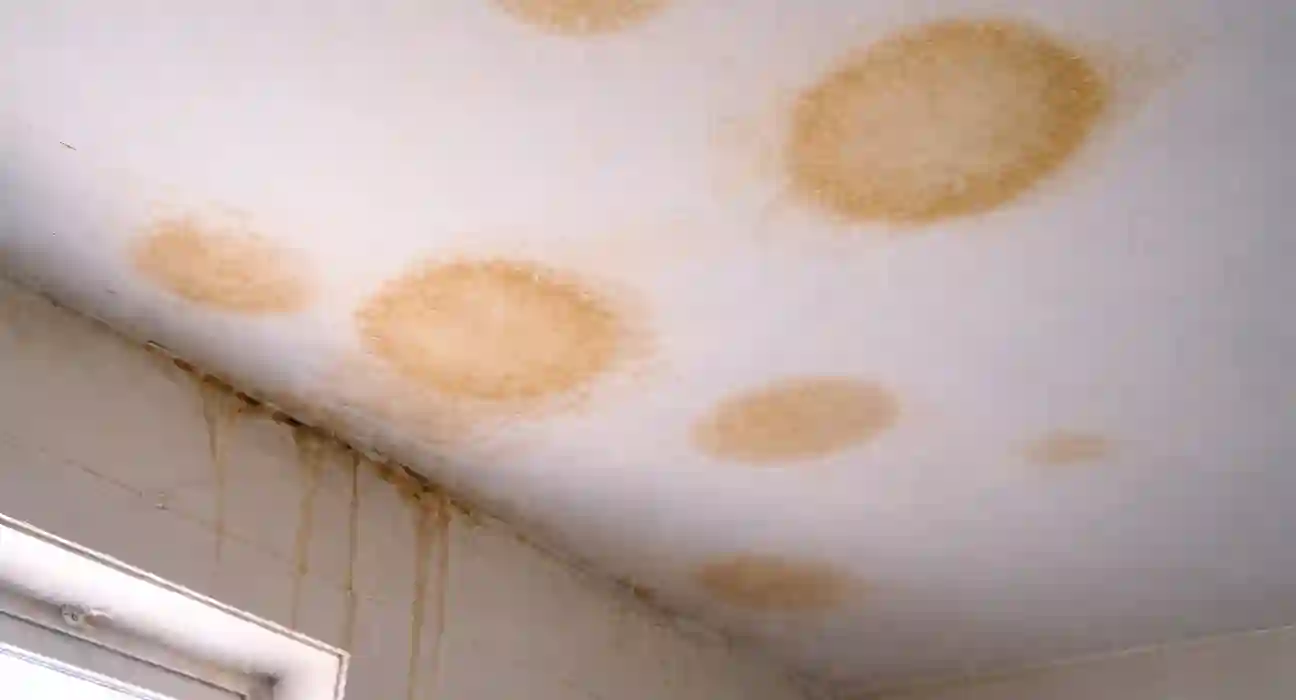 Water stains on a ceiling