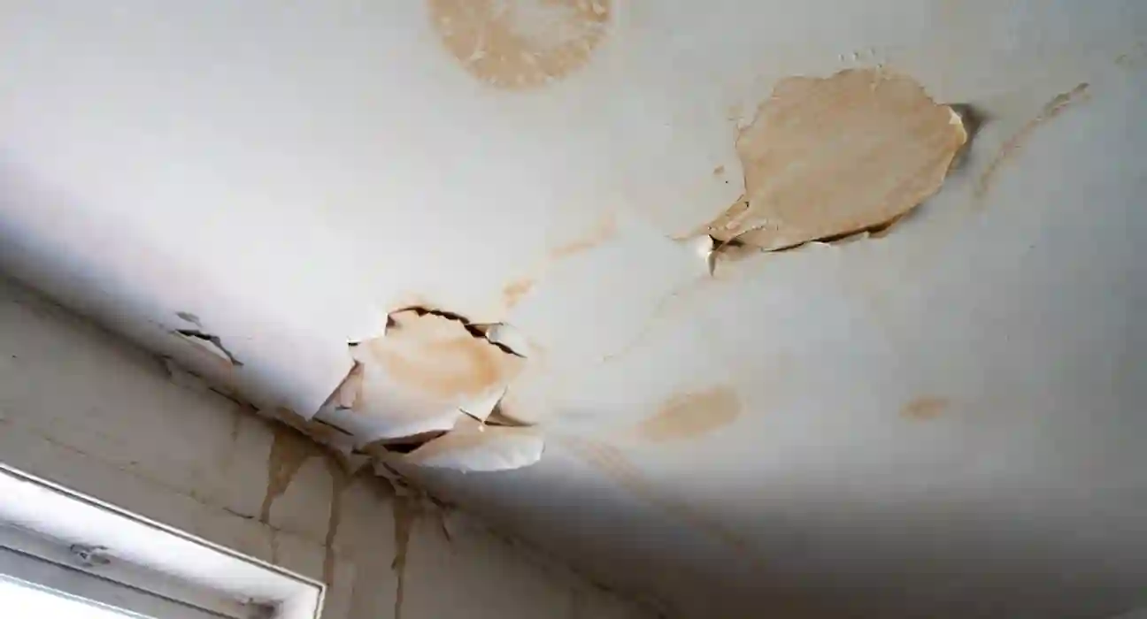 Brown water stains on a ceiling